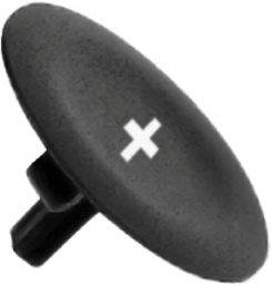 Cap for pushbutton, ZBA2934