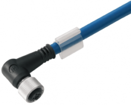 Bus line, M12 socket, angled to open end, PVC, 1 m, blue