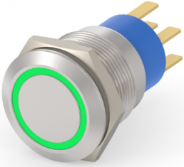 Switch, 2 pole, silver, illuminated  (green), 0.4 A/250 VAC, mounting Ø 19.2 mm, IP67, 5-2213767-4