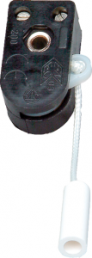 Lamp pull switch for 2.0 A/250 VAC, 191700084