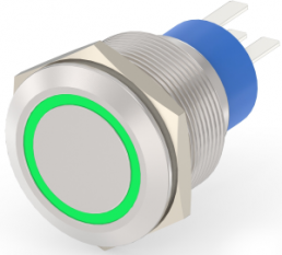 Pushbutton switch, 1 pole, silver, illuminated  (green), 5 A/250 V, mounting Ø 22.2 mm, IP67, 3-2213772-5