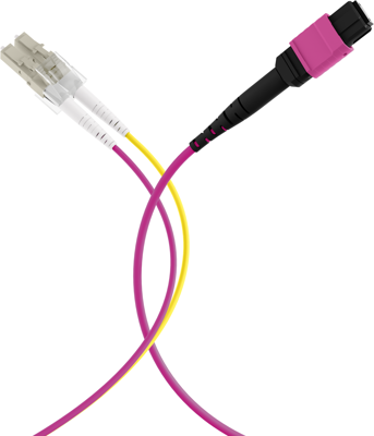 MTPF08LCOM4-1 EFB-Elektronik Fiber Optic Patch Cables, Pigtails Image 5
