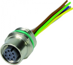 Sensor actuator cable, M12-flange socket, straight to open end, 8 pole, 0.5 m, PA, 2 A, 21033176805