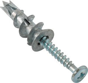Thorsman - TPD-SK - cavity fixing - with screw - set of 100