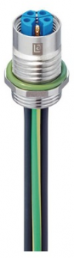 Socket, M12, 5 pole, Coupling nut, straight, 934980605