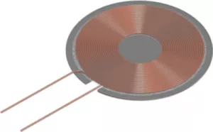 WR303050-15F5-G TDK Fixed Inductors