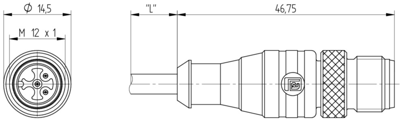 14901 Lumberg Automation Sensor-Actuator Cables Image 2