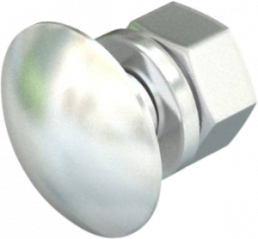 Flat head screw, M10, Ø 20 mm, 20 mm, stainless steel