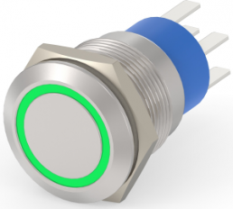 Switch, 2 pole, silver, illuminated  (green), 5 A/250 VAC, mounting Ø 19.2 mm, IP67, 7-2213767-3