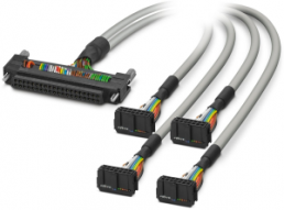 Connecting line, 1 m, Fujitsu plug connector, 40 pole straight to IDC/FLK socket header, 4 x 14 pole angled, 2304186