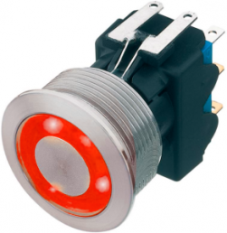 Pushbutton, 2 pole, silver, illuminated  (red), 5 A/125 V, mounting Ø 19.1 mm, IP67, 1241.6924.1121000