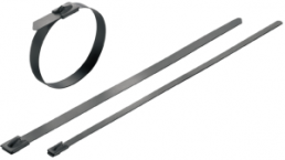 Cable tie, stainless steel, (L x W) 100 x 4.6 mm, bundle-Ø 20 to 25 mm, silver, -80 to 150 °C