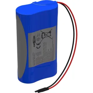 2447-3033-60 Ansmann Rechargeable Battery Packs