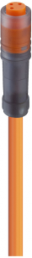 Sensor actuator cable, M8-cable socket, straight to open end, 3 pole, 2 m, PVC, orange, 4 A, 11278