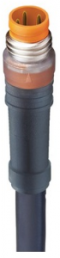 Sensor actuator cable, M8-cable plug, straight to open end, 3 pole, 2 m, PVC, black, 4 A, 44411