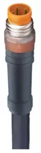 20833 Lumberg Automation Sensor-Actuator Cables