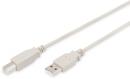 USB 2.0 Adapter cable, USB plug type A to USB plug type B, 1.8 m, beige