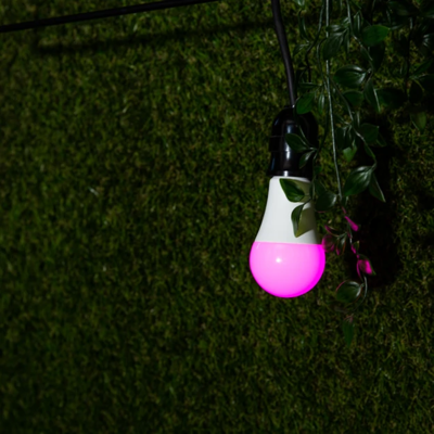 SHELLY DUO RGBW E27 Shelly Light Bulbs, Lamps Image 3