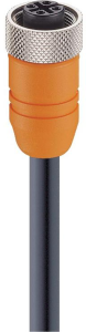 Sensor actuator cable, M12-cable socket, straight to open end, 4 pole, 2 m, PVC, orange, 4 A, 11411