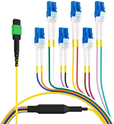 MTPF12LCOS2-2 EFB-Elektronik Fiber Optic Patch Cables, Pigtails Image 2
