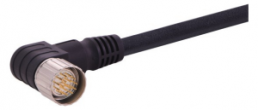 Sensor actuator cable, M23-cable plug, angled to open end, 17 pole, 10 m, PUR, black, 9 A, 21373400F72100
