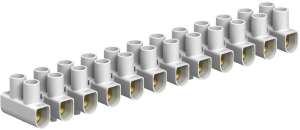 Lustre terminal, 12 pole, 1.5-6 mm², clamping points: 12, white, screw connection, 41 A