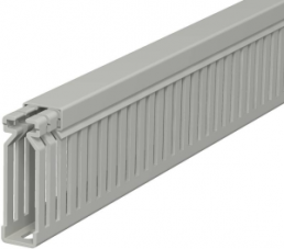 Wiring duct, (L x W x H) 2000 x 15 x 60 mm, PVC, stone gray, 6178026