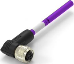 Sensor actuator cable, M12-cable socket, angled to open end, 2 pole, 6 m, PUR, purple, 4 A, TAB62435501-060