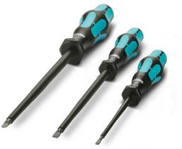Screwdriver kit, 4 mm, 6.5 mm, slotted, 1202098