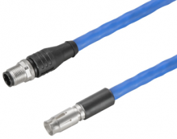 Sensor actuator cable, M12-cable plug, straight to M12-cable socket, straight, 8 pole, 5 m, Radox EM 104, blue, 0.5 A, 2451140500