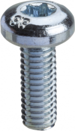 Spacial SF/SM-Torx screws, M6, 16mm, packing unit:100 pieces