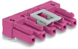 Socket, 5 pole, spring-clamp connection, pink, 770-885/011-000