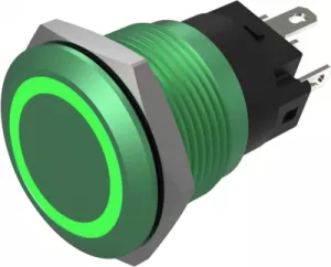 82-5851.1134 eao Pushbutton Switches