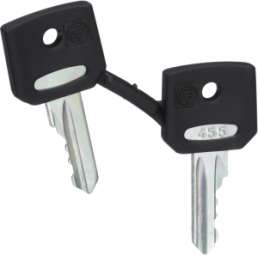Replacement key for key switch, ZBG455