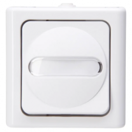 Surface mounted moist room pushbutton, white, 250 V (AC), 10 A, IP44, 561402019