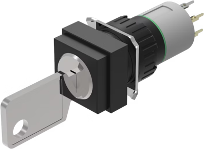 51-445.036D eao Key Switches
