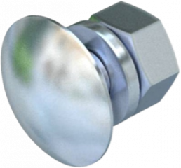Flat head screw, M10, Ø 18 mm, 25 mm, steel