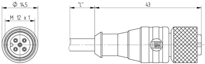 14901 Lumberg Automation Sensor-Actuator Cables Image 3