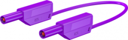 Measuring lead with (4 mm plug, spring-loaded, straight) to (4 mm plug, spring-loaded, straight), 250 mm, purple, PVC, 2.5 mm², CAT III