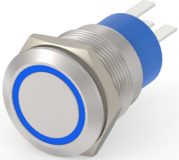 Switch, 1 pole, silver, illuminated  (blue), 5 A/250 VAC, mounting Ø 19.2 mm, IP67, 1-2213767-7