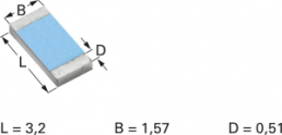 Resistor, metal foil, SMD 1206 (3216), 100 Ω, 0.3 W, ±0.02 %, Y1625100R000Q9R