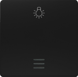 DELTA i-system rocker with window and light symbol, soft black
