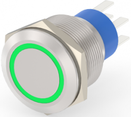 Pushbutton switch, 2 pole, silver, illuminated  (green), 5 A/250 V, mounting Ø 22.2 mm, IP67, 7-2213772-3