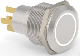Switch, 1 pole, silver, illuminated  (white), 0.4 A/250 VAC, mounting Ø 22.2 mm, IP67, 2213772-2